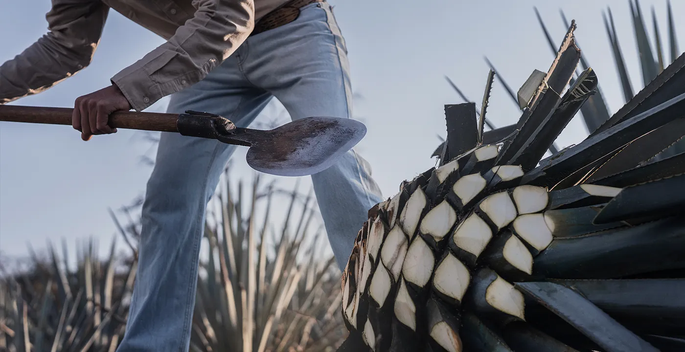 Clase Azul Tequila 3